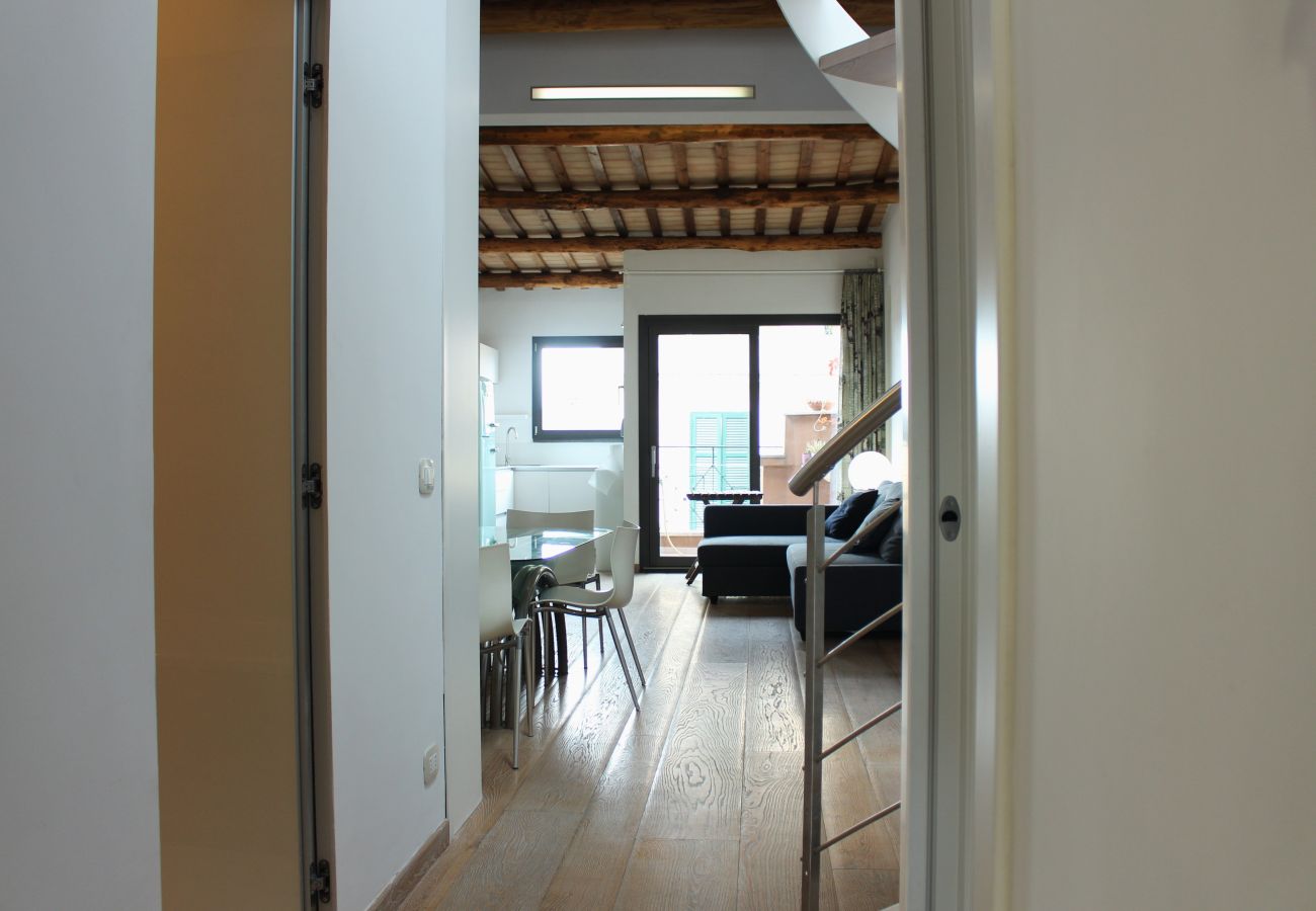 Appartamento a Roma - 068 - Vicolo del Cinque- Stylish Penthouse with te